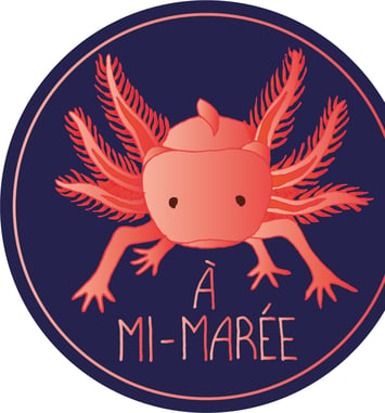 Festival A mi-marée