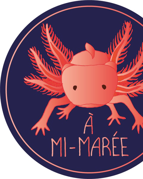 Festival À mi-marée