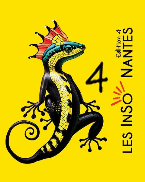 Festival Les Inso Nantes