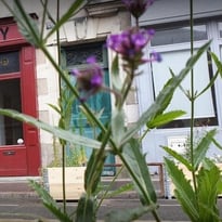 Théâtre krapo roy