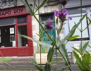 Théâtre krapo roy