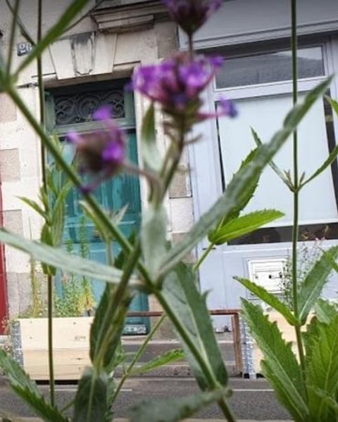 Théâtre krapo roy