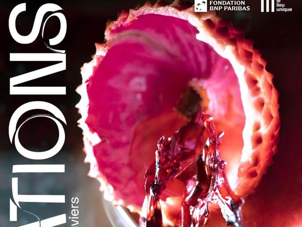 Festival Variations
