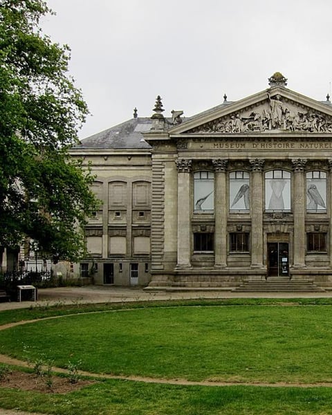 Muséum D'Histoire Naturelle De Nantes