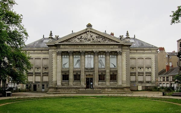 Muséum D'Histoire Naturelle De Nantes