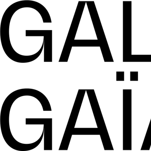 Galerie Gaïa Nantes 2