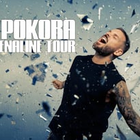 M. Pokora