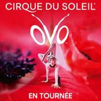 Cirque du Soleil OVO