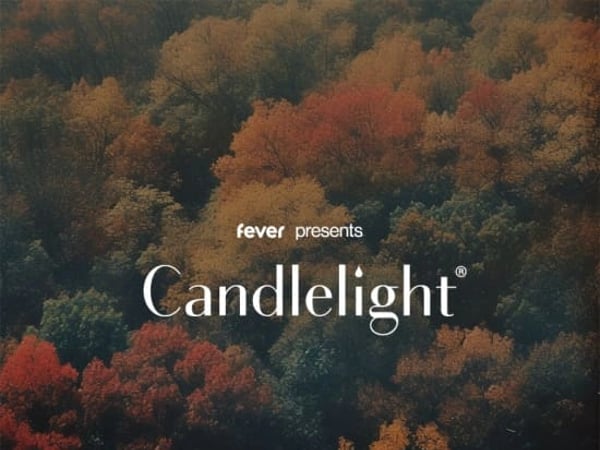 Candlelight : le meilleur de Ludovico Einaudi