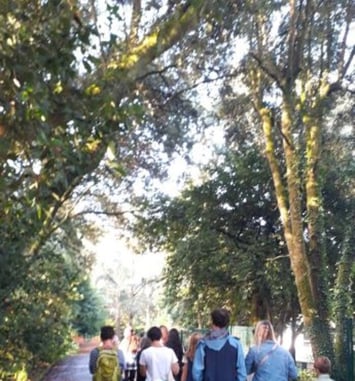 Réveil au parc du lycée Carcouët