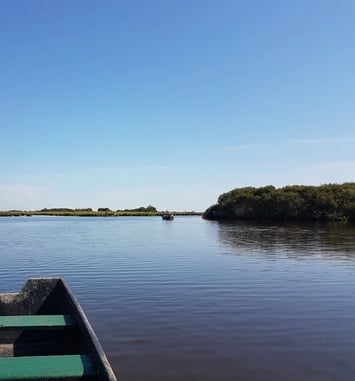 Balades sur la Loire