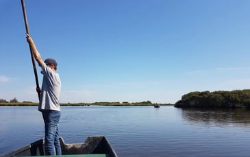 Balades sur la Loire