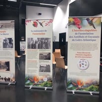 Histoire singulière de l'association des Antillais et Guyanais de L.A