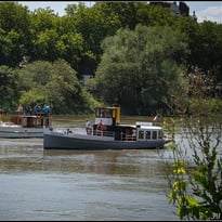 Balades sur l'Erdre à bord de bateaux du patrimoine