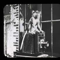 200 photos pour 200 ans d'histoire