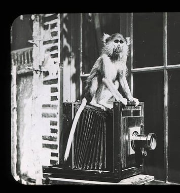 200 photos pour 200 ans d'histoire