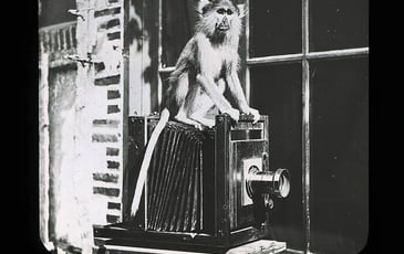 200 photos pour 200 ans d'histoire