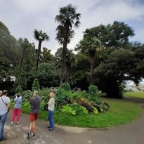 Balade botanique du parc de la Gaudinière