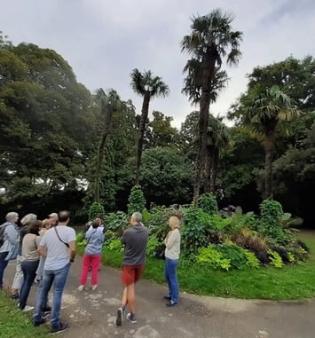 Balade botanique du parc de la Gaudinière