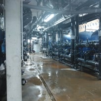 Découvrez les coulisses de la nouvelle piscine des Dervallières