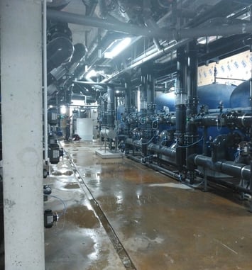 Découvrez les coulisses de la nouvelle piscine des Dervallières
