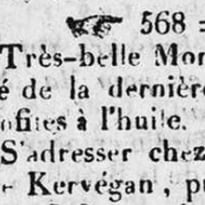 Aux origines de l'île Feydeau … Si la Saulzaie nous était contée ?