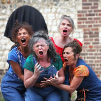 VNR Quartet Buccal