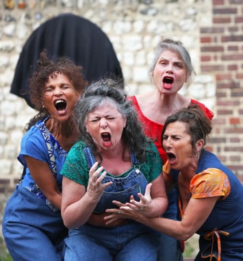 VNR Quartet Buccal