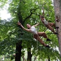2 Dans L'arbre