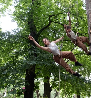 2 Dans L'arbre