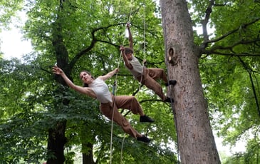 2 Dans L'arbre