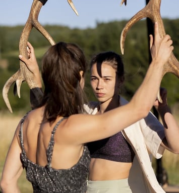 Faune Libertivore