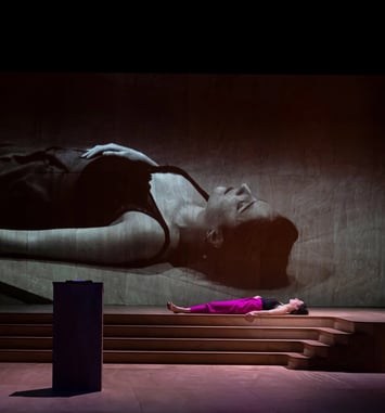 Opéra Variation 2 Passion Possession : The Carmen Case