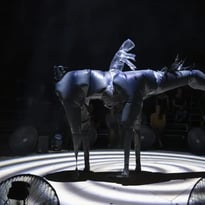 Nocturne (Parade)