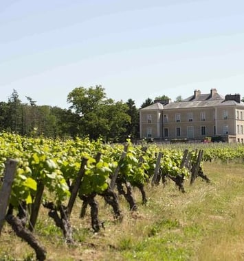 Visite guidée du château du Cléray