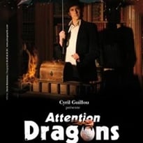 Attention Dragons