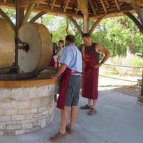 Visite guidée du moulin d'Antoine : un voyage au cœur de la fabrication artisanale d'huile de noix