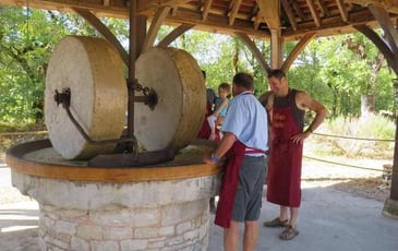 Visite guidée du moulin d'Antoine : un voyage au cœur de la fabrication artisanale d'huile de noix