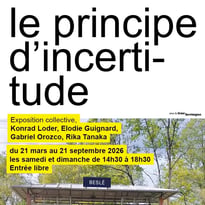 Visite commentée de l'exposition "Le Principe d'Incertitude"