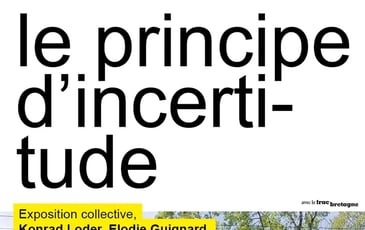 Visite commentée de l'exposition "Le Principe d'Incertitude"