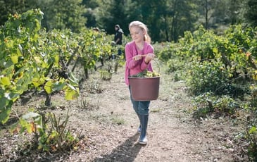 Vendanges en famille