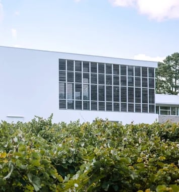 Visite et dégustation : le conservatoire des cépages