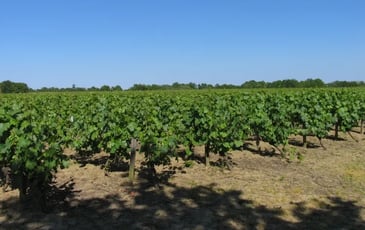 Découverte des patrimoines de la Limouzinière