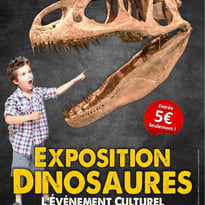 Dino Expo