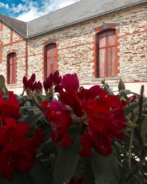 Espace culturel René Havard