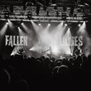 Fallen Lillies