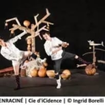 Enraciné