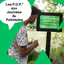 Observer, écrire, partager la splendeur des bords de la Sèvre avec les POP