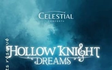 Hollow Knight Dreams