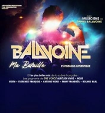 Balavoine, Ma Bataille